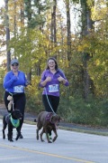 Race #1033, Row 1, Column 4