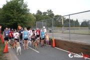 Race #1043, Row 3, Column 2