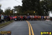 Race #1044, Row 11, Column 5