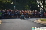 Race #1046, Row 3, Column 1