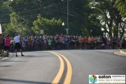 Race #1046, Row 3, Column 5
