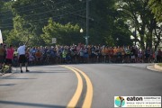 Race #1046, Row 4, Column 1