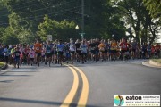 Race #1046, Row 4, Column 2