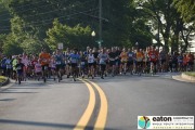 Race #1046, Row 4, Column 3
