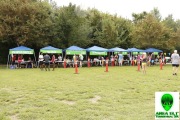 Race #1071, Row 2, Column 3