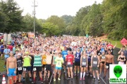 Race #1071, Row 1, Column 1