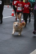 Race #1100, Row 32, Column 6