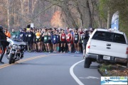 Race #1135, Row 1, Column 1