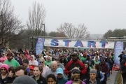 Race #1137, Row 72, Column 3