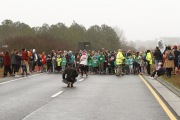 Race #1137, Row 46, Column 1