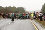 Race #1137, Row 43, Column 5