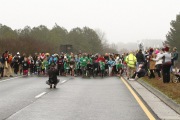 Race #1137, Row 46, Column 3