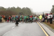 Race #1137, Row 46, Column 4