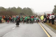Race #1137, Row 46, Column 5