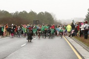 Race #1137, Row 47, Column 1