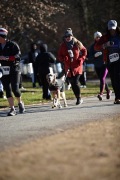 Race #1138, Row 81, Column 5