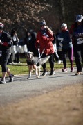 Race #1138, Row 81, Column 6