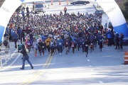 Race #1138, Row 31, Column 5