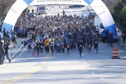 Race #1138, Row 31, Column 6