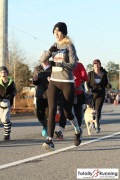 Race #1139, Row 33, Column 2