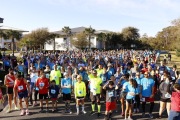Race #1154, Row 4, Column 1
