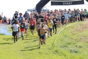 Race #1196, Row 33, Column 4