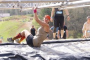 Race #1196, Row 37, Column 5