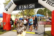 Race #1227, Row 15, Column 2