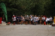 Race #1232, Row 3, Column 4