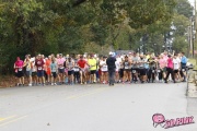 Race #1253, Row 4, Column 6