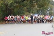 Race #1253, Row 8, Column 2