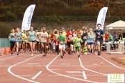 Race #1272, Row 12, Column 3