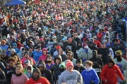 Race #1274, Row 16, Column 4