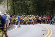 Race #1346, Row 7, Column 4
