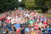 Race #1376, Row 1, Column 2