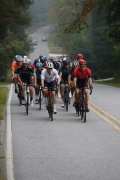 Race #1380, Row 12, Column 1