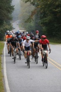 Race #1380, Row 12, Column 3