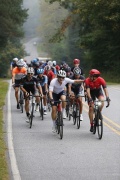 Race #1380, Row 12, Column 4