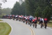 Race #1380, Row 15, Column 4