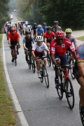 Race #1380, Row 23, Column 4