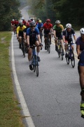 Race #1380, Row 1, Column 2