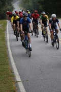 Race #1380, Row 1, Column 1