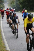 Race #1380, Row 27, Column 1