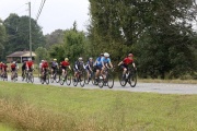 Race #1380, Row 40, Column 1