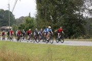 Race #1380, Row 40, Column 2