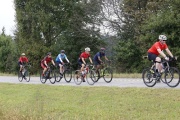 Race #1380, Row 41, Column 1