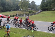 Race #1380, Row 35, Column 4