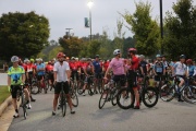 Race #1380, Row 4, Column 6