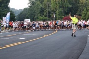 Race #230, Row 4, Column 3