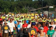 Race #368, Row 2, Column 1